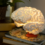 3D Φωτιστικό Εγκέφαλος LED - Ανατομικό Διακοσμητικό Φως Γραφείου & Βιβλιοθήκης